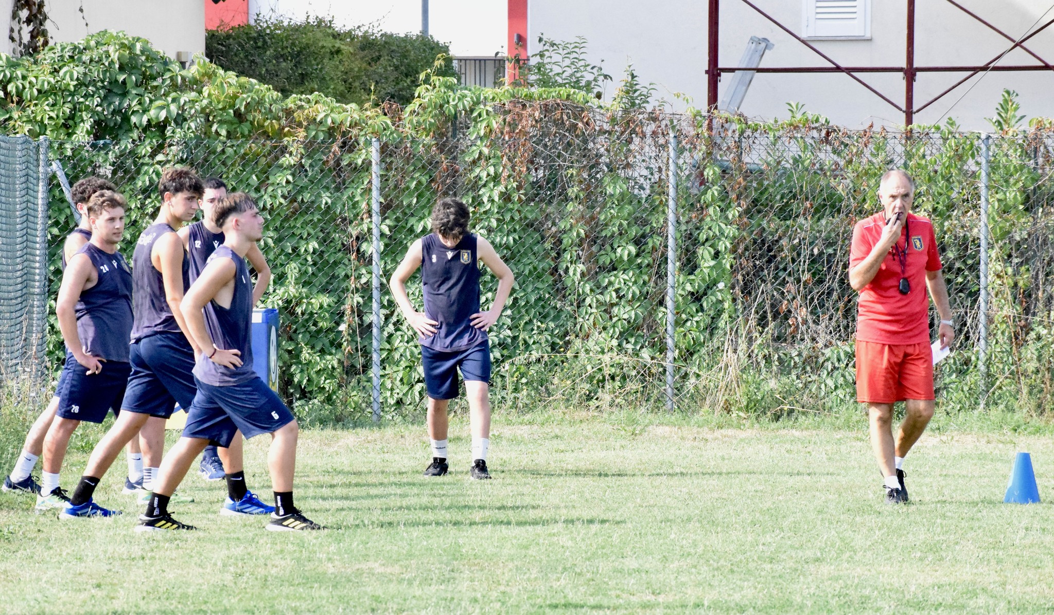 juniores